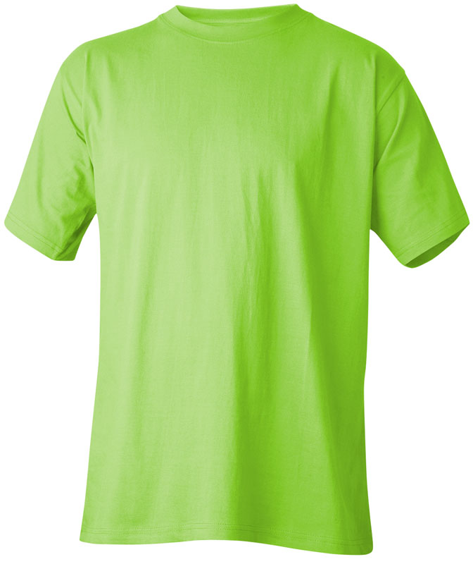 Top Swede T-särk 239/8012, laimiroheline